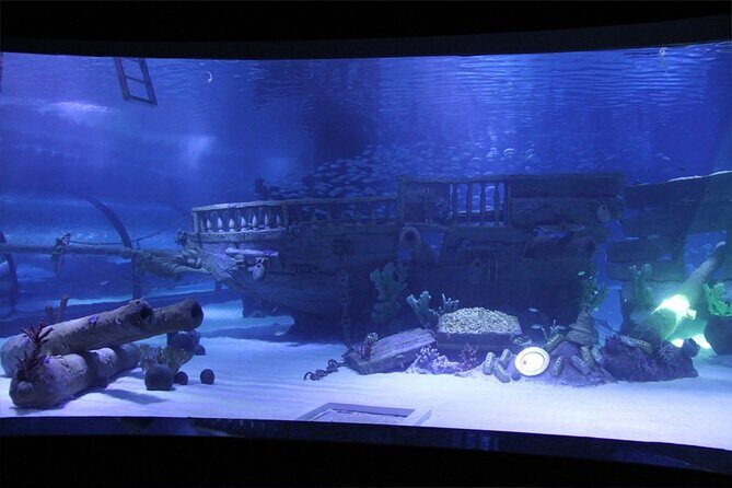 Alexander Waterfall and Antalya Aquarium Day Tour from Side - Inside the Antalya Tunnel Aquarium: Thousands of Fish, One Walkable Plan
