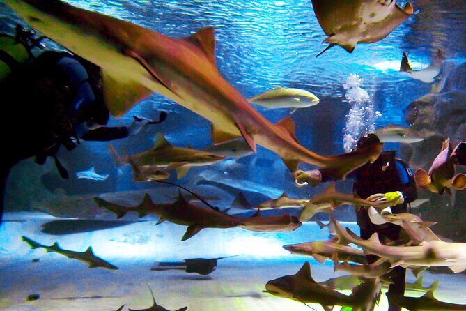 Alexander Waterfall and Antalya Aquarium Day Tour from Side - Price and What You’re Really Paying For: Structure, Tickets, and Transport