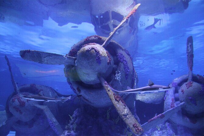 Alexander Waterfall and Antalya Aquarium Day Tour from Side - Kaleici Old City Free Time: Sea Views and a Real Stroll Pace