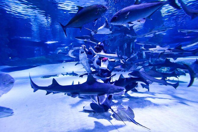 Antalya Tunnel Aquarium - Departure from Side - Group transfers, comfort, and what a capped group changes