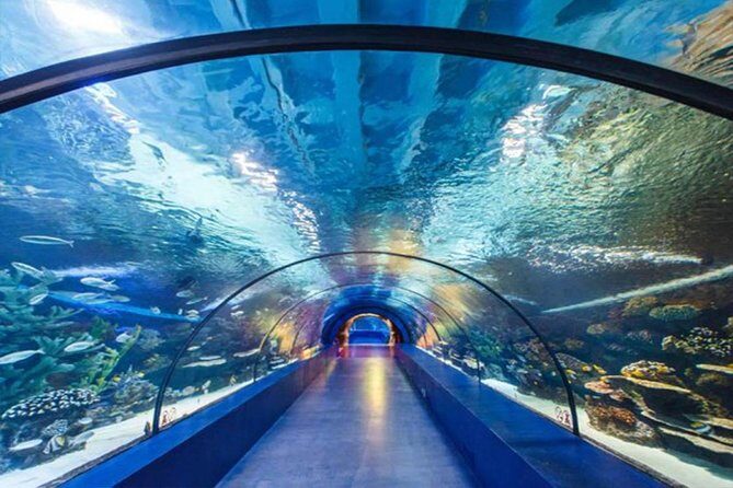 Antalya Tunnel Aquarium - Departure from Side - Morning start: hotel pickup and a smooth 8:30 departure