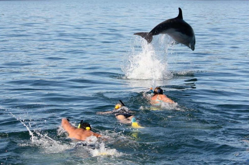 City Of Side: Dolphin Island Boat or Side Boat Tour Options - Dolphin Island or Side views: you’re choosing your vibe