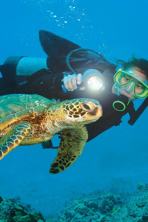 City Of Side: Dolphin Island Boat or Side Boat Tour Options - Paradise Beach swim stop: fresh water meets the sea