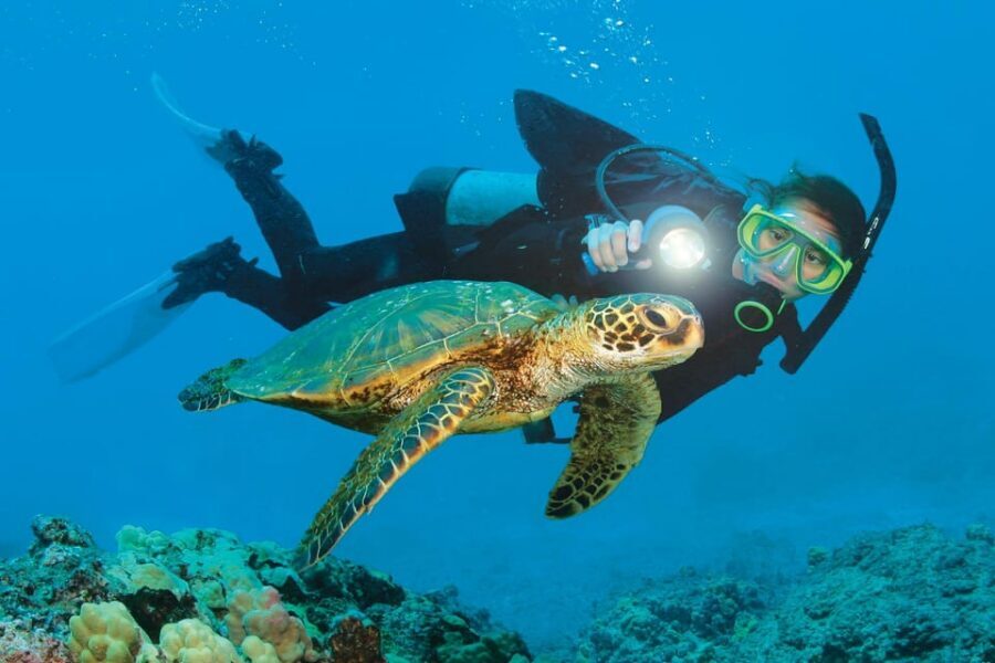 City Of Side: Dolphin Island Boat or Side Boat Tour Options - Side Boat route: swimming with temple views