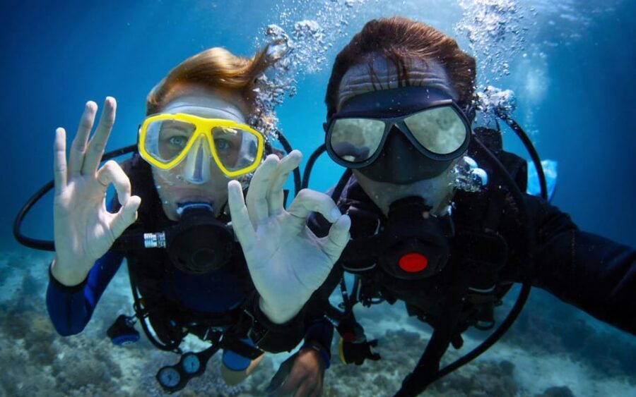 Diving Tour from Alanya & Side with Lunch - 2 Dives Included - Marine life, artifacts, and why the guides matter
