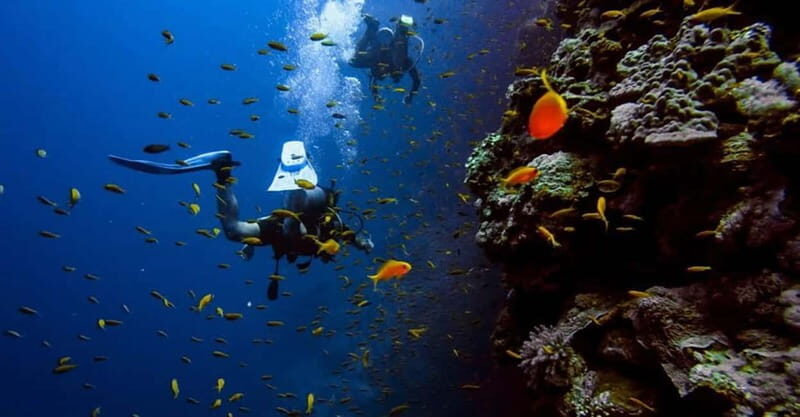 From Alanya: Scuba Diving Tour with Hotel Transfers - Underwater session #1: gentle descent, fish-feeding, and photo time