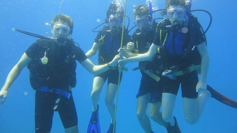 From Alanya: Scuba Diving Tour with Hotel Transfers - Gear and crew: why the small details affect your safety