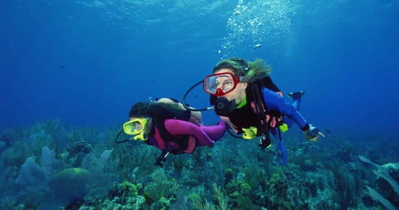 From Alanya: Scuba Diving Tour with Hotel Transfers - The 8-hour reality: expect a long day with short underwater windows
