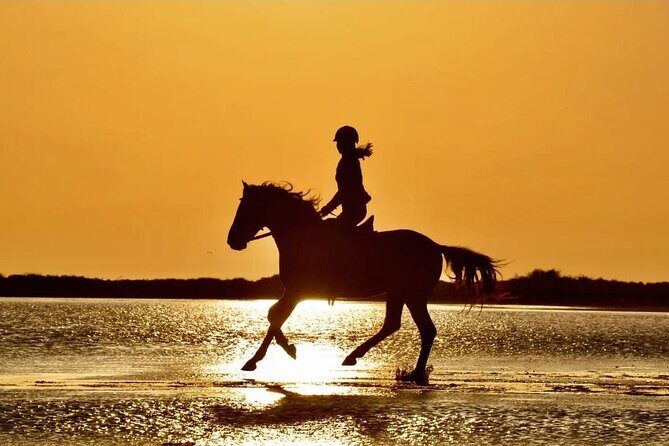 Horse Riding in Manavgat Side Forest and Beach - Key highlights to know before you book