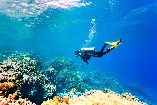 Scuba Diving in Side - The water moments: caves, coral, and fish (with two chances)