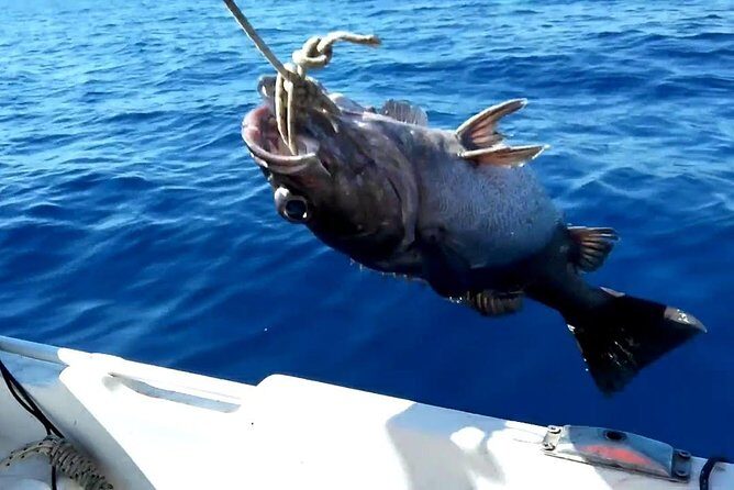 "Side Half-Day Fishing Adventure: Transfer Included!" - Half-Day Fishing From Side: What You’re Really Buying