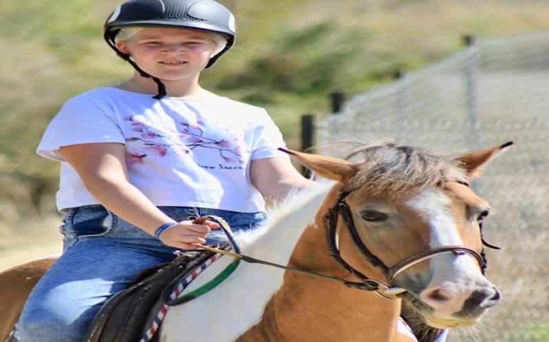 Side: Horse Safari Tour - Side Horse Safari: What You’re Actually Buying