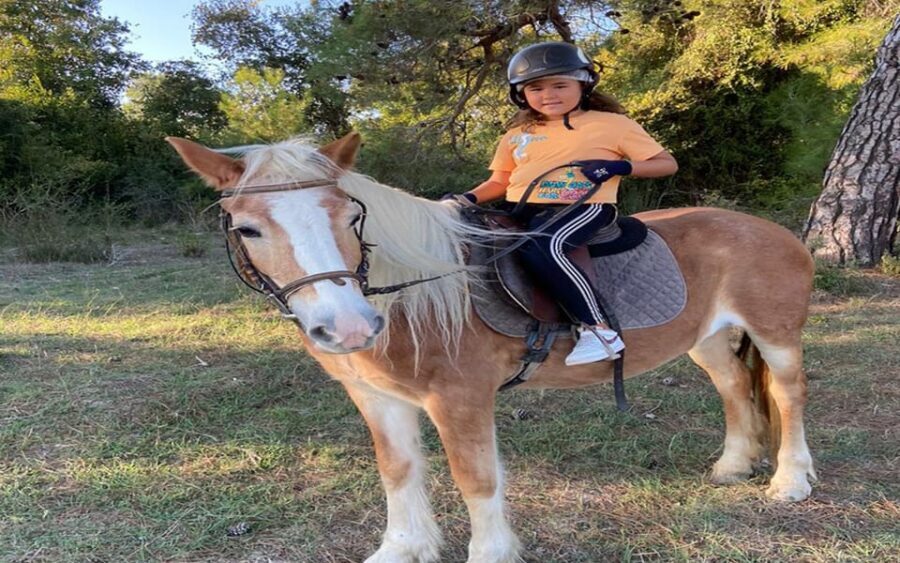 Side: Horse Safari Tour - What’s Included vs. What You’ll Need to Plan