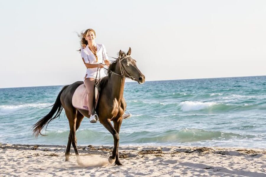 Side: Horseback Riding Tour in Nature - Safety, Animal Welfare, and How to Spot Red Flags Fast