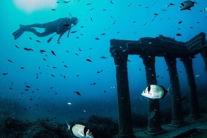 "Side: Scuba Diving in the Fascinating Underwater Museum" - Price and Value: How $40.52 Gets You a Real Day Out